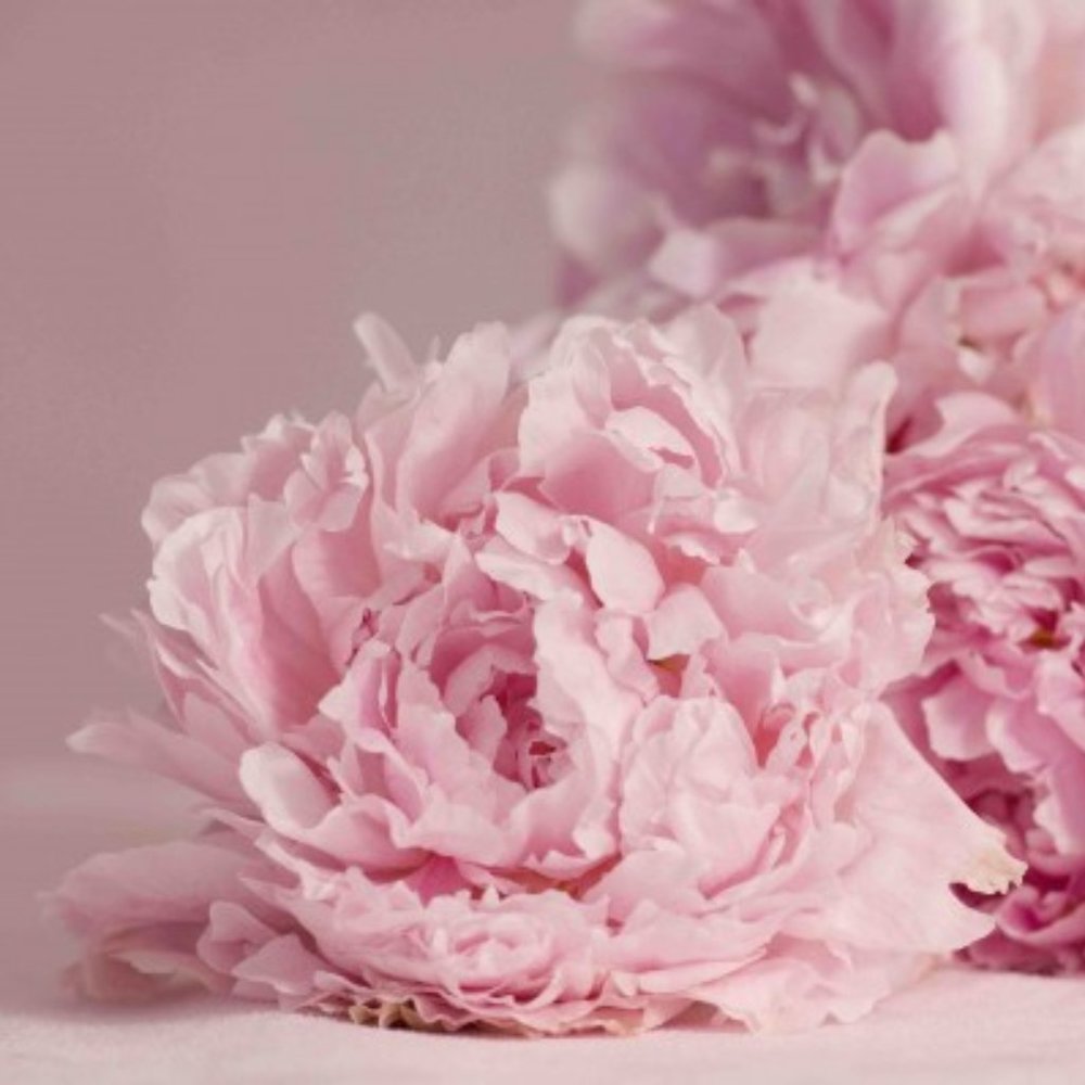 Meet your Posher, ME